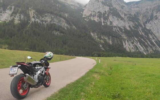 Gebrauchtmotorrad Aprilia Tuono V4 1100 Factory - Bild 2