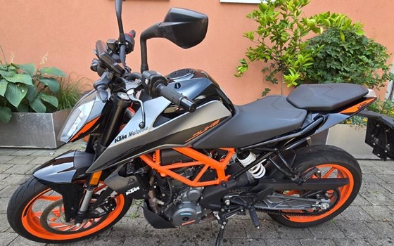 Gebrauchtmotorrad KTM 390 Duke - Bild 1