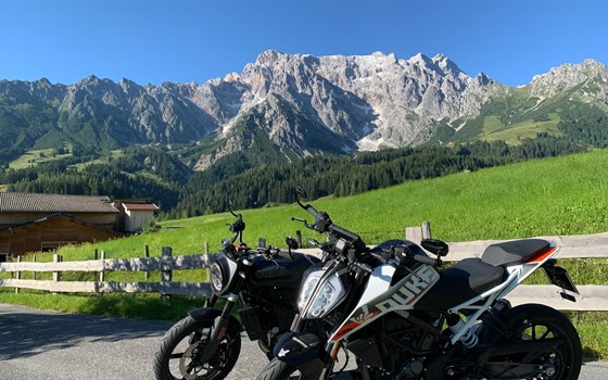Gebrauchtmotorrad KTM 390 Duke - Bild 1
