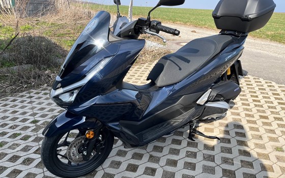 Gebrauchtmotorrad Honda PCX125 DX - Bild 1