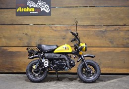 Neumotorrad Skyteam SkyMini 125