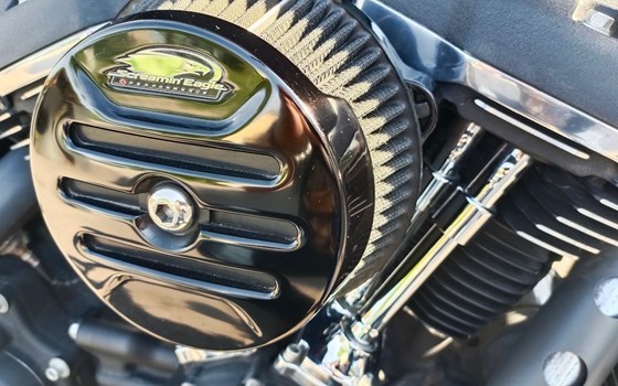 Gebrauchtmotorrad Harley-Davidson Dyna Street Bob FXDB - Bild 8