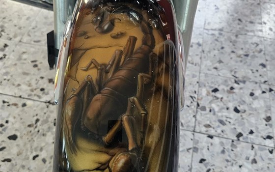 Gebrauchtmotorrad Honda VT1100ACE Shadow - Bild 4