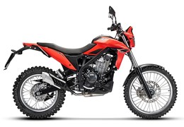 Neumotorrad Beta Alp 4.0