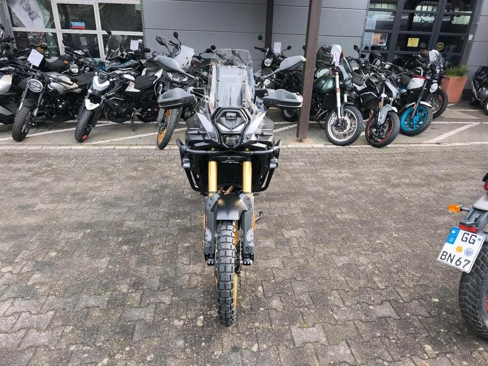 Angebot Voge DS800X Rally