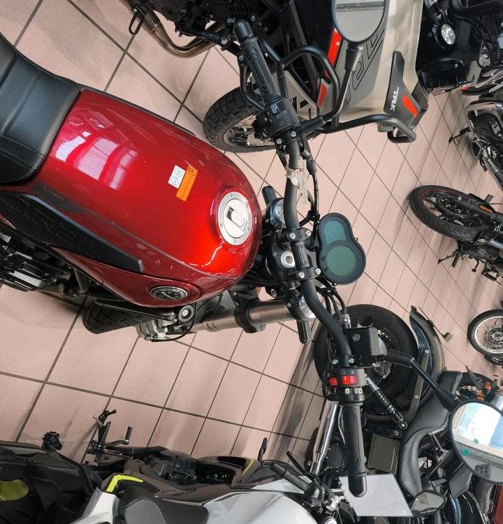 Angebot Benelli Leoncino 500 Trail