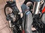 Angebot Benelli Leoncino 500 Trail