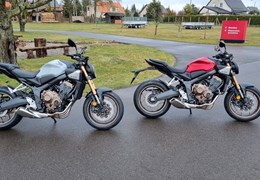 Neumotorrad Honda CB650R