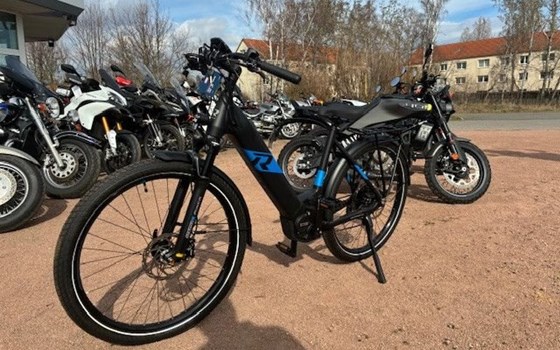 Neufahrzeug Raymon TourRay E - Bild 6