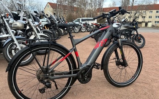 Neufahrzeug Raymon TourRay E - Bild 1