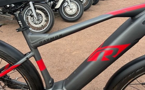 Neufahrzeug Raymon TourRay E - Bild 8