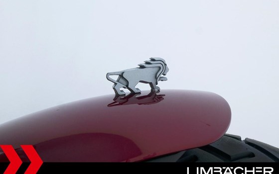 Gebrauchtmotorrad Benelli Leoncino 500 Trail - Bild 15