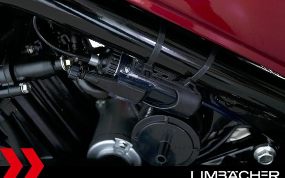 Gebrauchtmotorrad Benelli Leoncino 500 Trail - Bild 19