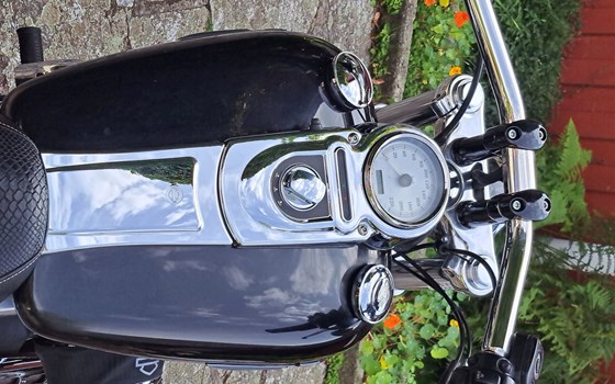 Gebrauchtmotorrad Harley-Davidson Dyna Fat Bob FXDF - Bild 2