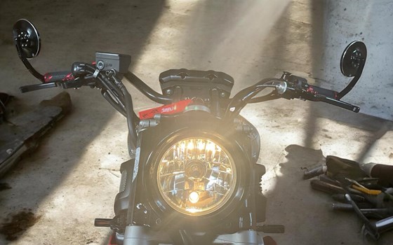 Gebrauchtmotorrad Yamaha MT-07 Moto Cage - Bild 4