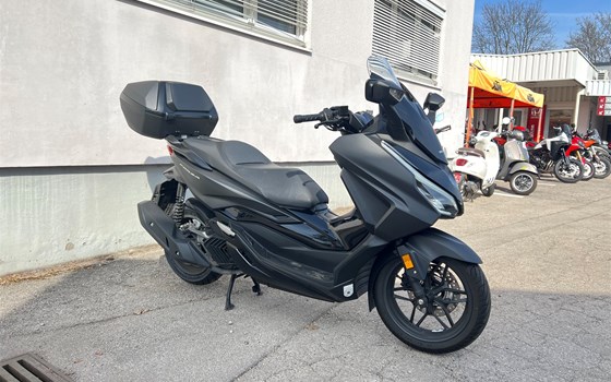 Gebrauchtmotorrad Honda Forza 125 - Bild 3