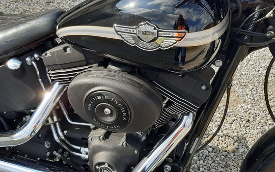 Gebrauchtmotorrad Harley-Davidson Softail Night Train FXSTB - Bild 6