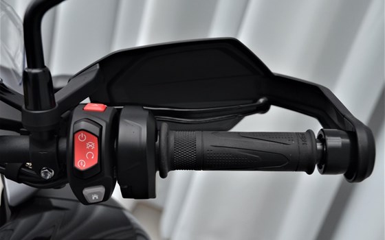 Gebrauchtmotorrad Triumph Tiger 1200 Alpine Edition - Bild 11