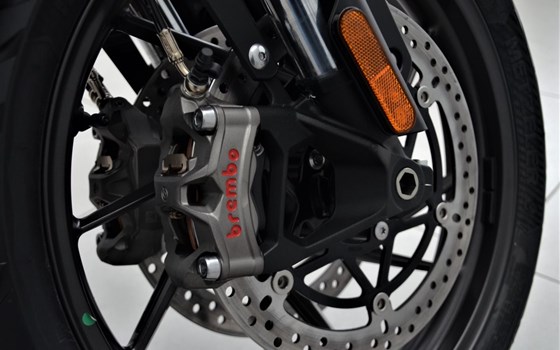 Gebrauchtmotorrad Triumph Tiger 1200 Alpine Edition - Bild 12