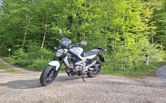 Gebrauchtmotorrad Suzuki SV650 - Bild 1