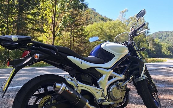 Gebrauchtmotorrad Suzuki SV650 - Bild 2