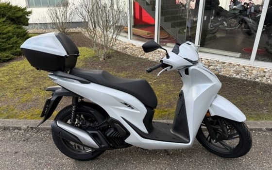 Neufahrzeug Honda SH125i - Bild 1