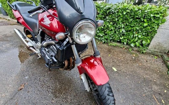 Gebrauchtmotorrad Honda CBF 600 - Bild 1