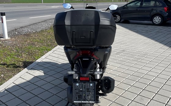 Gebrauchtmotorrad Honda ADV350 - Bild 2