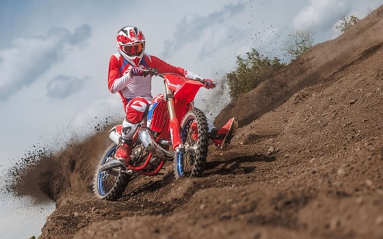 Neufahrzeug Beta RX 250 2T - Bild 10