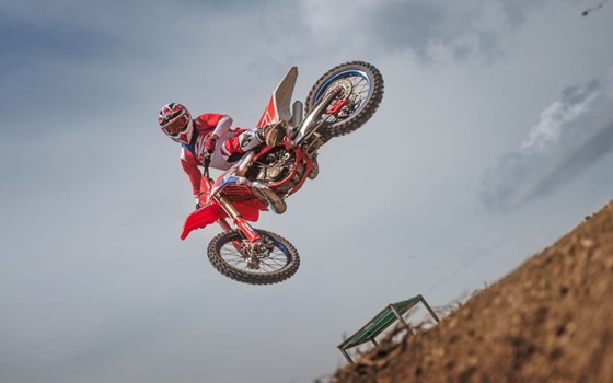 Neufahrzeug Beta RX 250 2T - Bild 15