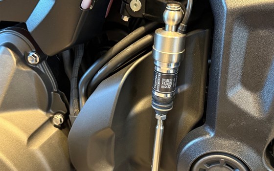 Neufahrzeug Triumph Trident 660 - Bild 6