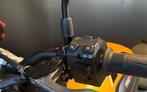 Neufahrzeug Triumph Trident 660 - Bild 8