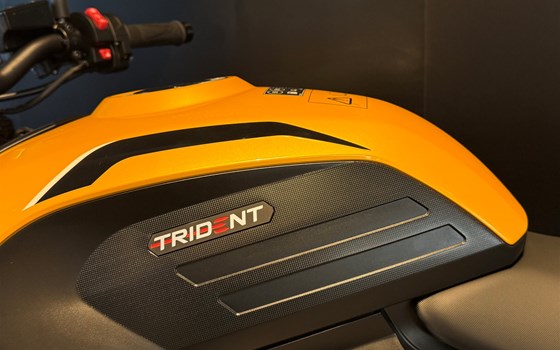 Neufahrzeug Triumph Trident 660 - Bild 10