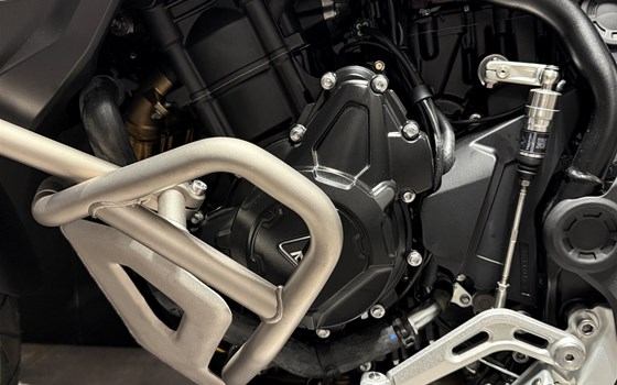 Neufahrzeug Triumph Tiger 900 Desert Edition - Bild 12