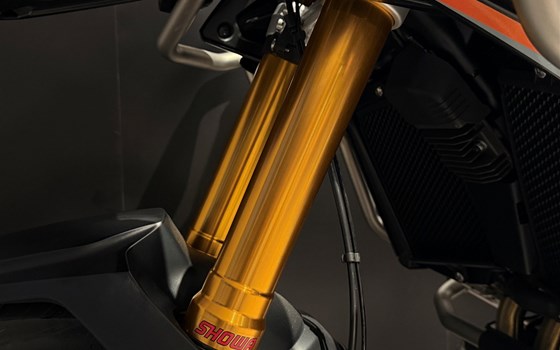 Neufahrzeug Triumph Tiger 900 Desert Edition - Bild 6