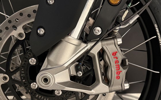 Neufahrzeug Triumph Tiger 900 Desert Edition - Bild 8