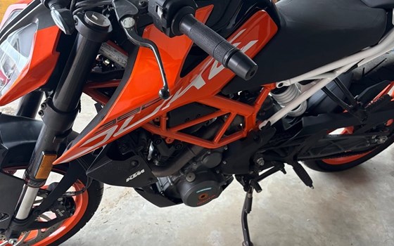 Gebrauchtmotorrad KTM 390 Duke - Bild 3