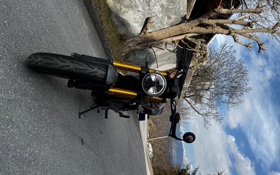 Motorrad Occasion Triumph Speed 400 - Bild 3