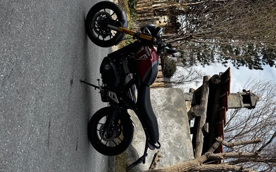 Motorrad Occasion Triumph Speed 400 - Bild 4