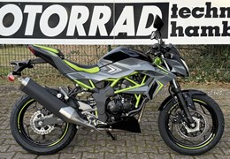 Neumotorrad Kawasaki Z125