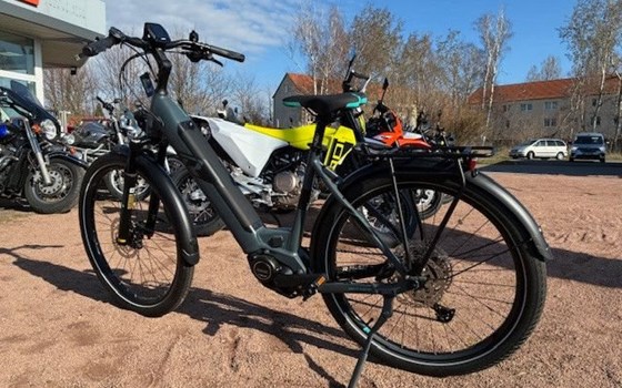 Neufahrzeug Raymon TourRay E - Bild 10