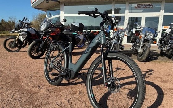 Neufahrzeug Raymon TourRay E - Bild 2