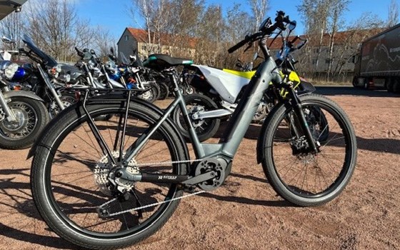 Neufahrzeug Raymon TourRay E - Bild 3