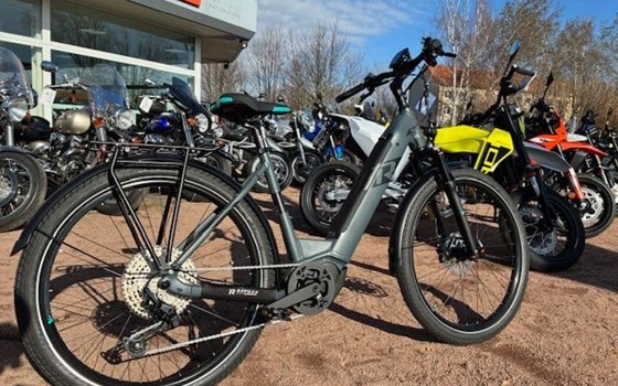 Neufahrzeug Raymon TourRay E - Bild 5