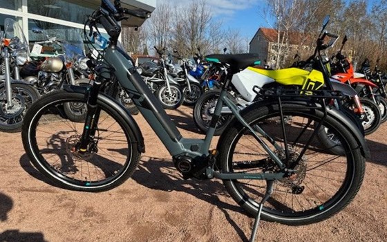 Neufahrzeug Raymon TourRay E - Bild 6