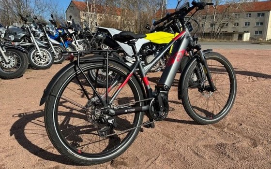 Neufahrzeug Raymon TourRay E - Bild 3