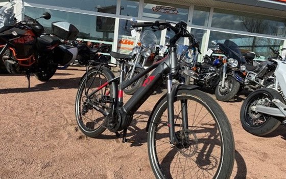 Neufahrzeug Raymon TourRay E - Bild 4