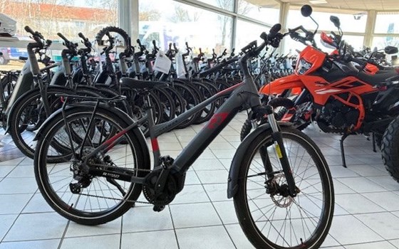 Neufahrzeug Raymon TourRay E - Bild 8