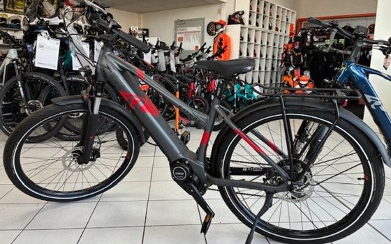 Neufahrzeug Raymon TourRay E - Bild 9