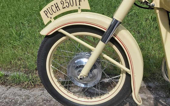Gebrauchtmotorrad Puch 250 TF - Bild 5